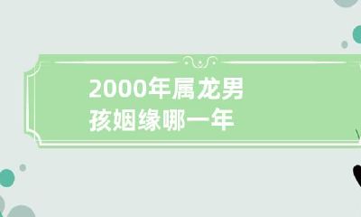 2000年属龙男孩的姻缘:哪一年最有可能结婚?