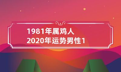 1981年属鸡人男性2020年运势如何?