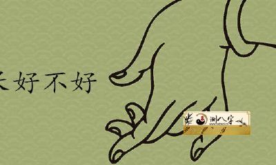 有中指的脚部特征表示什么含义?