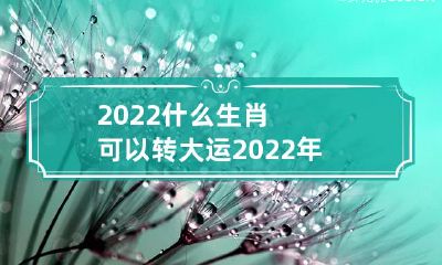 2018年后新生肖更替,2022年哪些生肖可以享受转大运的好运?