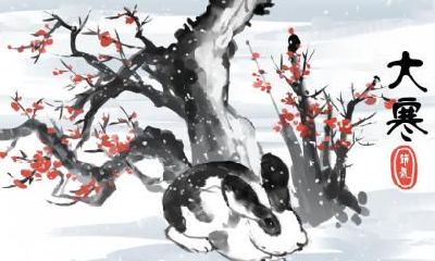 在2023年的大寒和腊月期间,是否可以安排搬家计划?