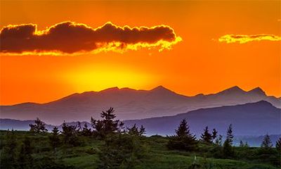 结婚和万圣节碰巧同时进行,这是否会为你的婚姻带来幸运?另外,万圣节是否真的只是西方的鬼节?