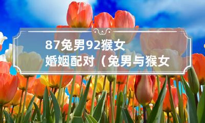 八十七年出生的兔男与九十二年出生的猴女是否适合结婚?探究兔男与猴女婚姻配对的因素