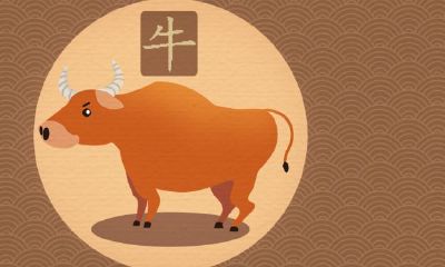 属相为牛的1973年出生者的2022年运势如何?