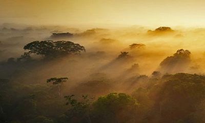 立春出生的人将是2023年不一般的一群人,他们具有独特的个性与命运