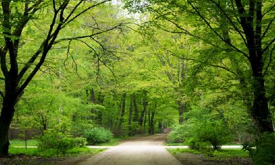 2023年立春出生的人有哪些传统习俗和文化讲究?