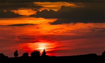 2022年万圣节前一天晚上是否等同于万圣夜,且该如何庆祝?