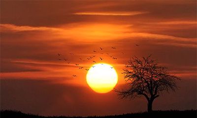 !从庆祝方式到文化意义,万圣夜和平安夜有哪些重要的不同之处?