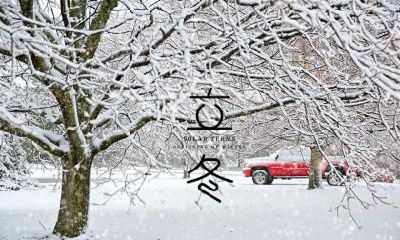 立冬降临之时诞生的鼠年出生者,预示着何种人生征兆?-探寻其命运,是否吉利美好?