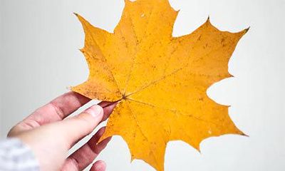 2022年10月,哪些日子是最吉利的安葬日?国庆长假期间是否适宜出殡?