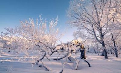 2023年小寒节气适合搬家吗?搬家时需要注意哪些细节?有哪些旧物不能带?