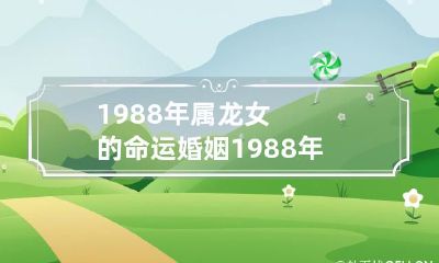 回顾并展望:揭秘1988年属龙女命运中的婚姻纠葛,以及2020年将面临的挑战和机遇