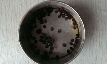 哪些颜色的帽子不适合佩戴?在时尚界,白色帽子是否能够成为佩戴的优雅选择?