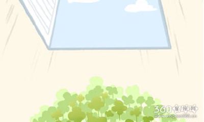 探究生肖配对奥秘:哪些组合堪称最佳cp?