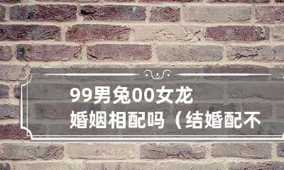 99只男兔和00只女龙的配对是否适合结婚呢?