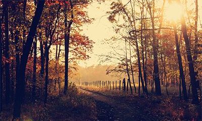 和命运:是否有关联?