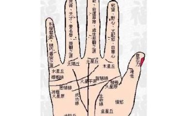 手相解读:探究最富有人士手相的特质和表现