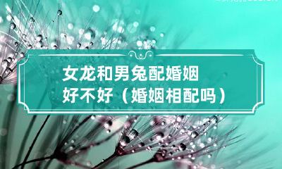 女龙男兔结婚合适吗?探讨婚姻的配对之道