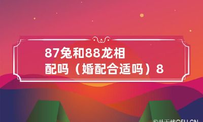1987和1988年出生的人中,兔和龙适合结婚吗?