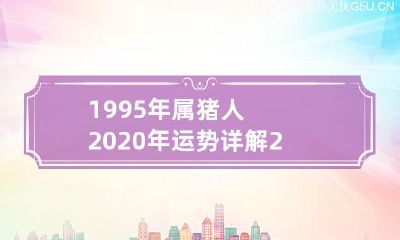 1995年出生的属猪人2020年运势揭秘:揭示猪年运势对其命运的深远影响
