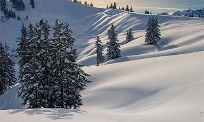 通过分析不同月份的丙午日出生者的命运,揭示富贵运势的详细指南