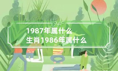 请问1987年和1986年出生的人分别属于哪个生肖?