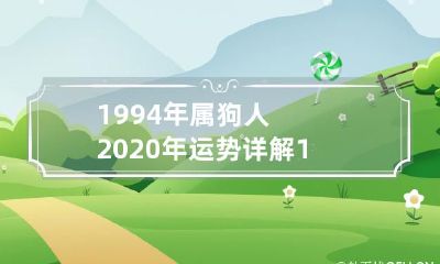 - 根据命理预测,详解1994年出生的属狗人2020年的运势和命运走势