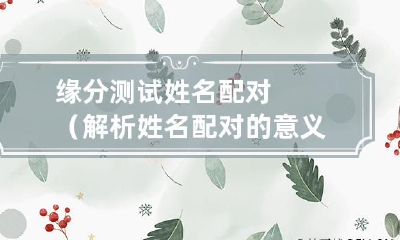 全面解析姓名配对缘分测试:探究姓名组合的深层含义及其对缘分的影响