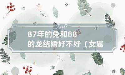 根据中国传统生肖观念,女属兔男属龙的婚姻匹配合适吗?-探讨87年兔与88年龙的婚姻前景