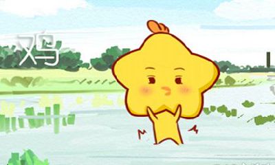 今年属鸡的人,婚姻状况如何?运势有何预测?