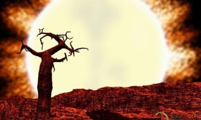 通过命里日支可以揭示你的性格、事业和财运等方面,你知道吗?