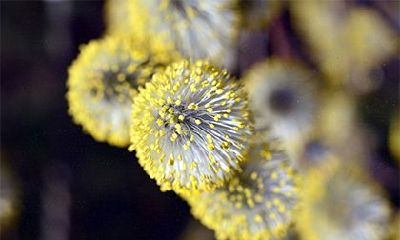 鬼节期间不宜前往的地方有哪些?为何在鬼节要避免外出?