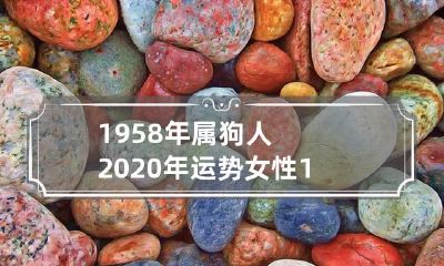 1958年出生的属狗女性,2020年的运势详解与预测全面指南