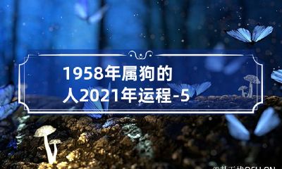 64岁属狗的1958年出生的人2021年的运势展望