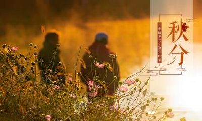 哪些值得我们了解的历史故事?