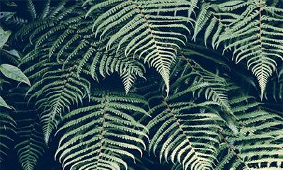 2022年农历十二月十二日,根据黄历,签约是否适宜?