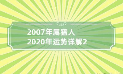 2007年属猪人2020年下半年运势及运程分析:未来展望与详细解读