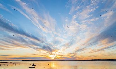 2022年即将到来的虎年农历十二月十八日签约,你想知道会不会顺利进行?