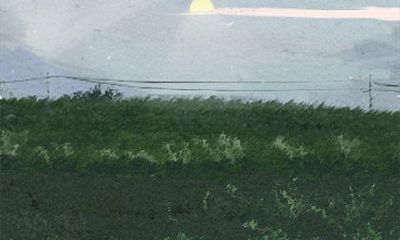 探究古易方:2017年4月生肖猪的详尽运势预测!