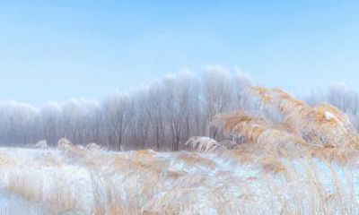 大雪节气出生的属猴人:探究不同年份出生对命运的影响