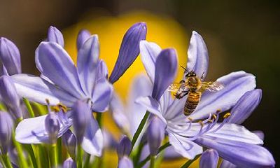 2023年农历四月二十七日出生的女孩是否具备富贵命?