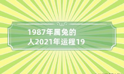 揭秘1987年属兔人2021年全面运势:事业、财运、恋爱、健康双重测算