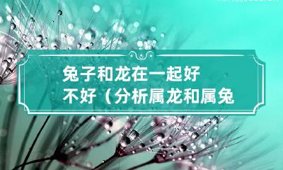 探讨属龙和属兔的婚配情况:是否可以在一起共度一生?
