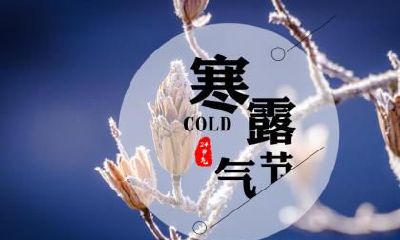 壬寅虎年的寒露节期间诞生的女孩是否具备优越的命运?而她的星座又是什么呢?