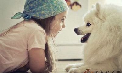 收录各种令人心醉神往的女孩名字——一个长长的、内含丰富诗意的名字大全