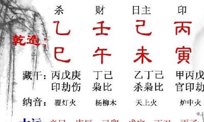 年纪大了还可以干什么事业