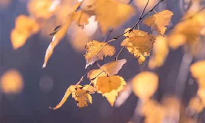 2022年农历十一月初十适不适合开工?