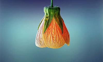 2022年农历十月初二这一天是不是黄历好日子?