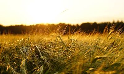 2022年农历十月初五算不算黄道吉日?破日是啥意思