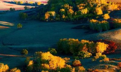 看姻缘桃花不适合结婚的八字命理